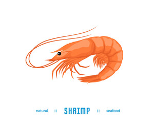 Shrimp vector illustration. Seafood icon isolated on a white background