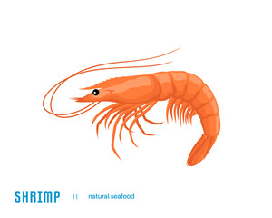 Shrimp vector illustration. Seafood icon isolated on a white background
