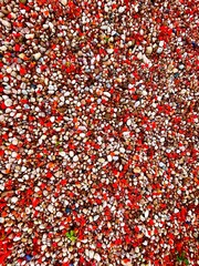 red and white background