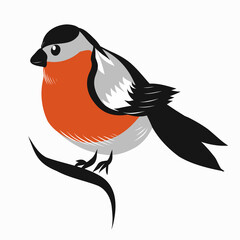 Bullfinch with a red breast. on a branch on a white background