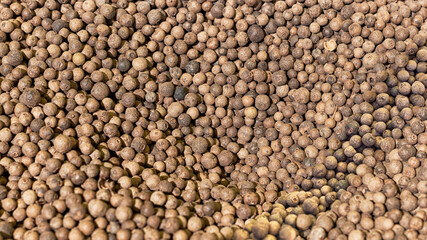 Peas of black pepper, dried pepper fruits, background.