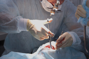 Surgeon jells anesthetic injection to patient. Dentists work in operating room.Modern dentistry....