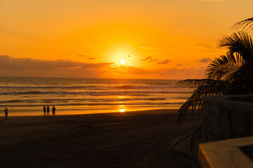 Arena, sol, palmeras y a disfrutar la vida