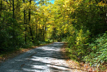 Water Falls of North Carolina