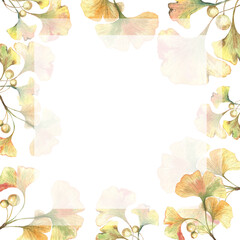 Obraz premium template paper advertisement with Ginkgo gingo biloba leaves and seeds watercolour foliage medical treatment.