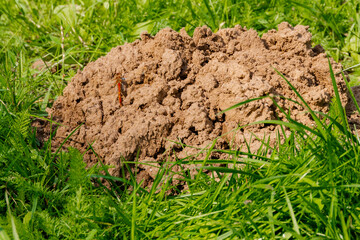der Jägala Wasserfall in Estland, in der Nähe von Tallinn, eine traumhafte Naturlandschaft im Baltikum