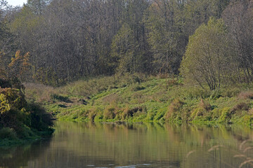 reflection in water of trees and green coast