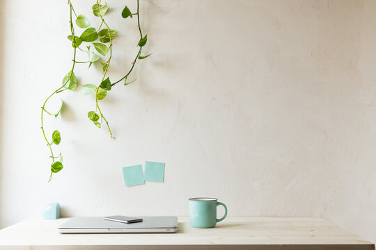 Cozy home office desk with laptop, mug and ivy on bright, sand texture wall
