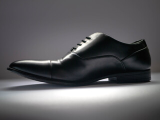 Fancy Expensive Black Shoe