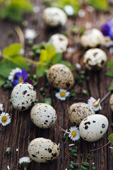 Quail eggs decorated with leaves and flowers on a wooden background, close up view. Spring composition