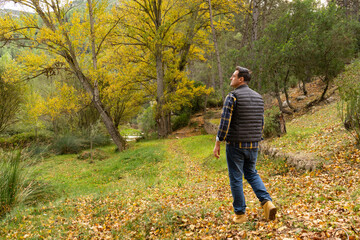 Caminar por el bosque