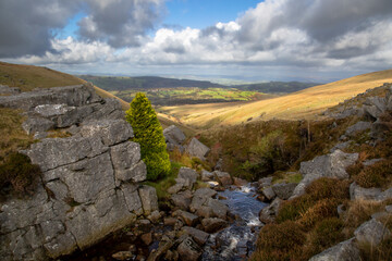 The Afon Clydach on the Black Mountain