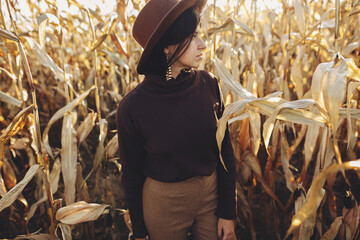 Beautiful stylish woman in brown hat and outfit posing in autumn corn field in warm sunny light. Fashionable attractive young female standing in maize in fall season in countryside
