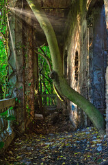 This abandoned villa is called 