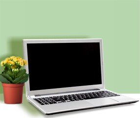 Modern new laptop with a blank screen