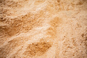 sawdust in stable