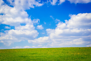 Obraz premium Beautiful green field with sunny blue sky in Czech Republic.