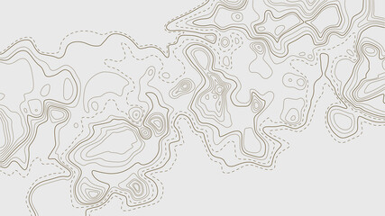 Topographic map with lines on a white background. Geographic map concept. Vector illustration