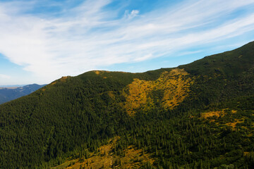 Beautiful mountain landscape with forest on sunny day. Drone photography