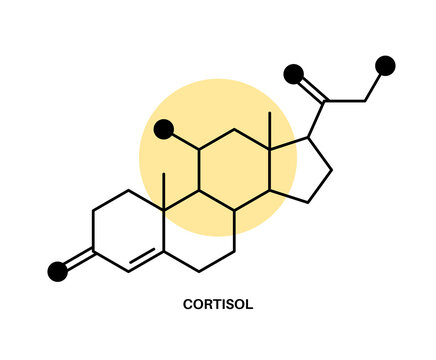 Cortisol chimical formula
