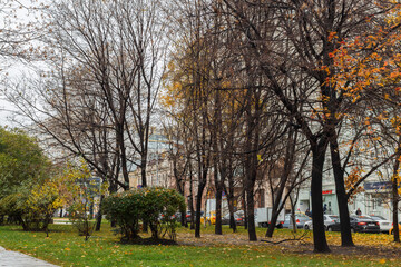 Fototapeta premium Moscow, Russia, Oct 15, 2021: Late autumn near Triumphalnaya square (Garden ring). Yellow leaves