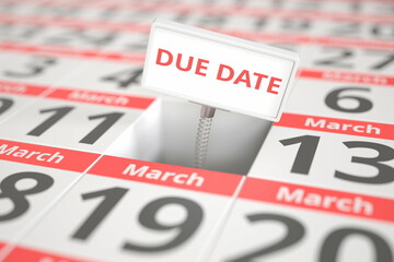 DUE DATE sign on March 12 in a calendar, 3d rendering