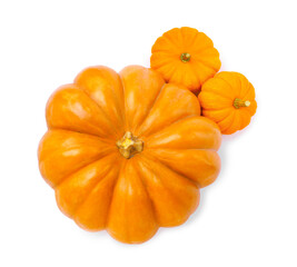 Fresh ripe pumpkins on white background, top view