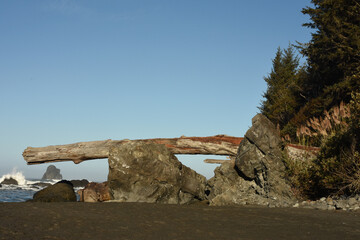Driftwood 2