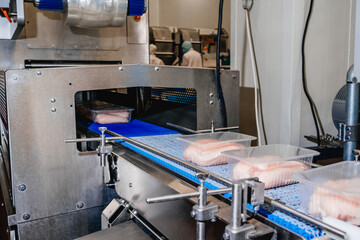People working at a Chicken fillet production line.Group of workers working chicken factory,food processing plant concepts.Meat processing,food industry.Packing of meat slices in boxes ,conveyor belt.