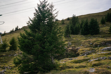 Ebeanalp, Seealpsee, Wildkirchli are the sun terrace of the alpstein. Mountainfuls of climbing routes. It is also the ideal starting point for hiking into the impressive, amazing Alpstein region