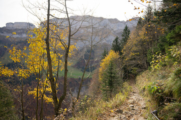 Ebeanalp, Seealpsee, Wildkirchli are the sun terrace of the alpstein. Mountainfuls of climbing routes. It is also the ideal starting point for hiking into the impressive, amazing Alpstein region