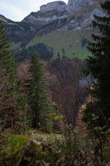 Ebeanalp, Seealpsee, Wildkirchli are the sun terrace of the alpstein. Mountainfuls of climbing routes. It is also the ideal starting point for hiking into the impressive, amazing Alpstein region