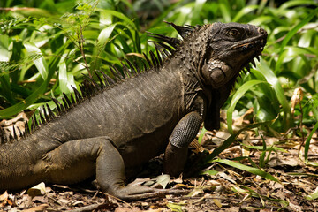 Naturaleza Antioquia