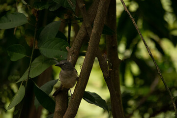 Naturaleza Antioquia