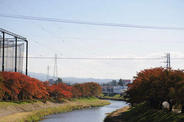 河川敷の紅葉