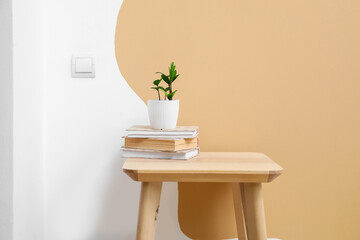Flowerpot with books on table near color wall