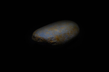 one beautiful sea stone on a black background