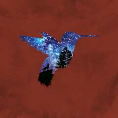 The hummingbird and the wolf