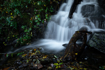 Fall colored leaves at the bottom of a waterfall in Pisgah Forest