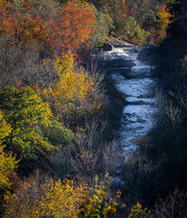 Pigeon River flows through Graveyard Fields in Pisgah Forest