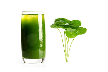 Goto kola drink (centella asiatica ) gotu kola juice with leaves isolated on white background.