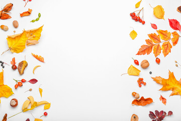Autumn forest decor on white background