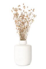 Vase with bouquet of dried flowers on white background