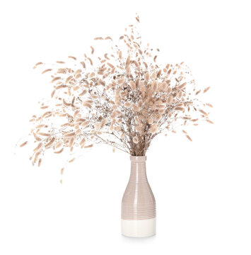Vase With Bouquet Of Dried Flowers On White Background
