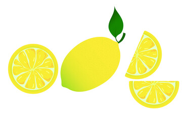 Cartoon illustration with colorful lemon on white background. Lemon wedges, whole lemon. Vector illustration. Stock image.