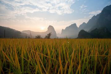 natural landscape as high as Vietnam