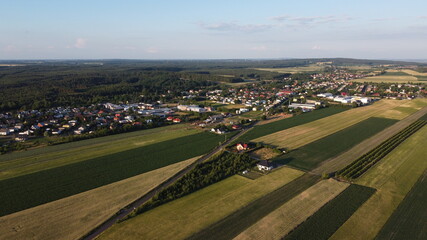 Kaczory z lotu ptaka Wielkopolska