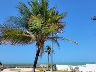 Breeze at Ponta D' Areia Beach, São Luis, Maranhão
