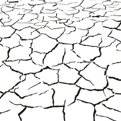 ひび割れた地面