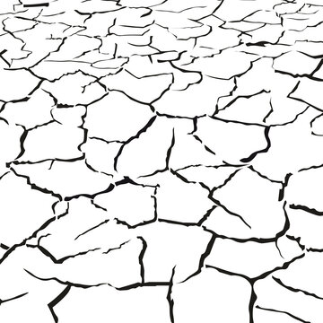 ひび割れた地面